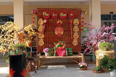 Hoa xuân năm Ất Tỵ 2025 Trường MN Hoa Mai