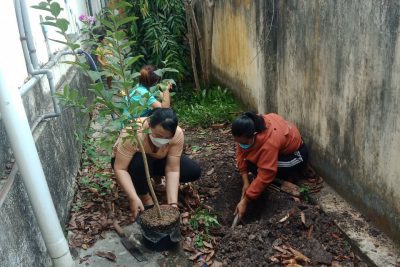 Lễ phát động trồng cây nhân kỷ niệm ngày sinh CHỦ TỊCH HỒ CHÍ MINH 19/5/1890-19/5/2022